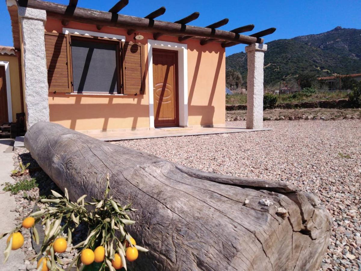 Agriturismo Donnolu Tertenìa Εξωτερικό φωτογραφία
